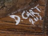 a close up of a piece of bread on a wooden table