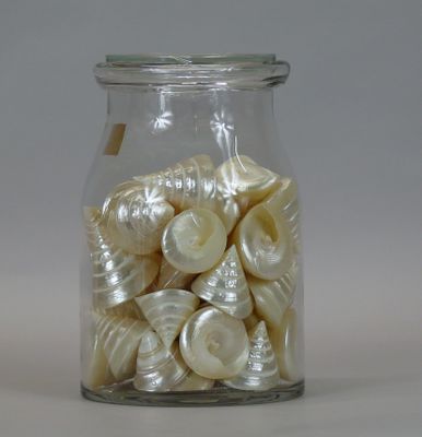 a glass jar filled with shells on a white surface