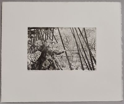 une image représentant une photo en noir et blanc d'un arbre dans les bois
