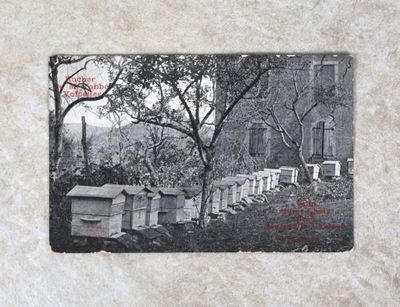 une photo en noir et blanc montrant une rangée de ruches devant un bâtiment