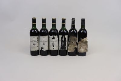 six bouteilles de vin sont alignées sur une surface blanche