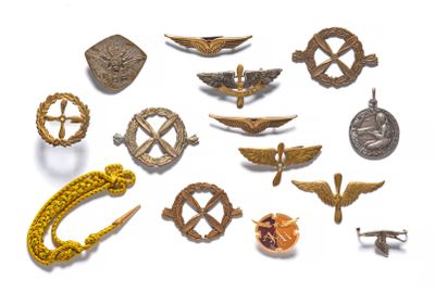 many different types of military badges on a white surface