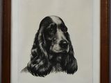 un dessin en noir et blanc représentant un chien à poil long