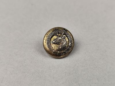 un gros plan d'un bouton en métal orné d'un cheval