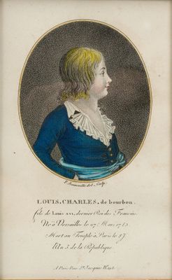 portrait of a young boy in a blue dress and white collared shirt