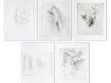 six dessins encadrés représentant des oiseaux et des fleurs sur un mur blanc