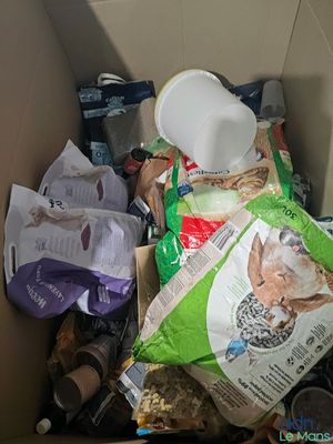 une boîte remplie de nourriture et d'autres objets qu'elle contient
