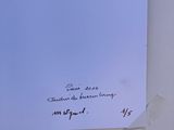 Photo 7/8 du lot