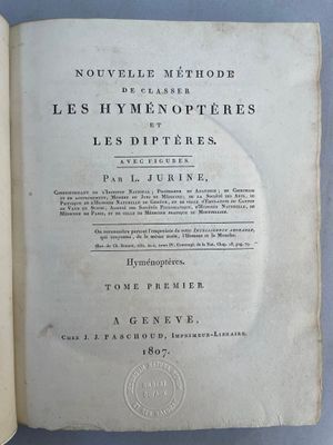 a book open on a blue surface with a picture of a horse