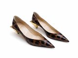 a pair of leopard print shoes on a white background