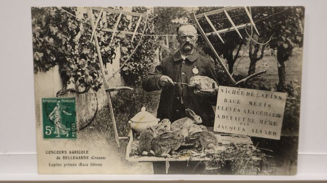 Bellegarde en Marche : Concours agricole. Élevage Jacques Alvard....