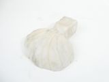 a picture of a clam shell in the snow