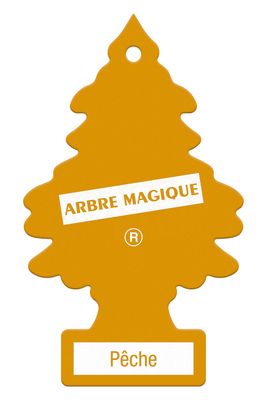 ARBRE MAGIQUE - Désodorisant - Sapin à suspendre - Parfum Pê…