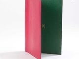 deux livres verts et roses posés l'un à côté de l'autre sur une surface blanche