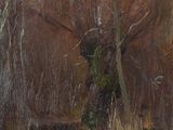 painting of a wooded area with trees and a bench in the foreground