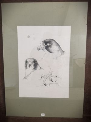 a picture of a picture of a bird in a frame
