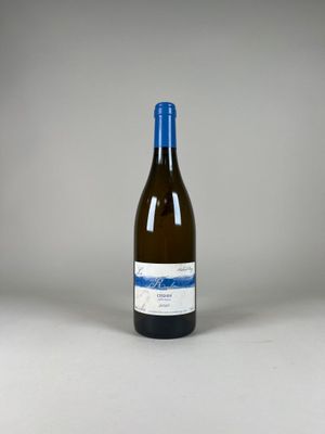 la bouteille de vin blanc est posée sur la table