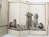 an open book with a drawing of mushrooms and mushrooms on it