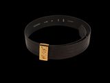 a close up of a black belt with a gold buckle