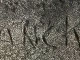 a close up of a black and white photo of a cat