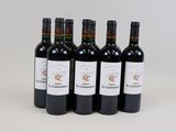 six bouteilles de vin rouge sont alignées sur une surface blanche