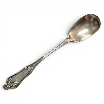a silver spoon with a spoon handle on a white surface