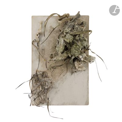 a plant that is growing out of a piece of paper
