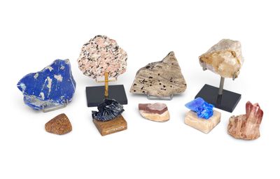 a group of different types of rocks on display on a white surface