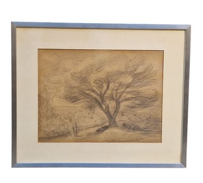 un dessin représentant un arbre dans un champ, avec une personne qui passe à côté