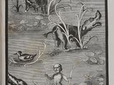 a picture of a book with a picture of animals in the water