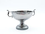 an image of a silver cup with handles on a white background