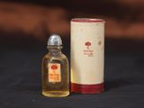 un petit flacon de parfum posé à côté d'un bidon