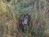 une moto qui est garée dans les hautes herbes
