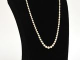 gros plan d'un collier sur un mannequin sur fond blanc