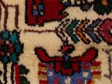 an image of a close up of a rug with a cat on it ' s back