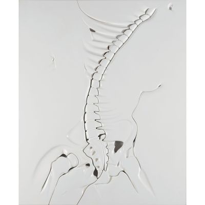Le squelette d'une girafe est représenté sur un fond blanc.
