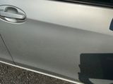 a close up of a car door handle with a dog in the background