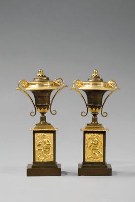 paire de vases anciens en laiton posés sur des socles en bois