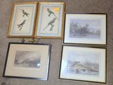trois photos encadrées d'oiseaux accrochées au mur du salon