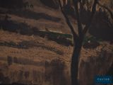 a picture of a painting of a tree in a field