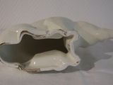 a white shell with a hole in it on a white surface