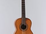 l'image d'une guitare suspendue à une corde sur un mur