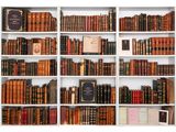 many books that are on the shelves in the room