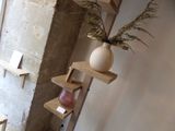 a vase with a plant in it sitting on a ladder