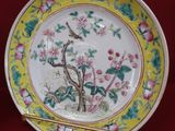 two plates with birds and flowers on them on a red surface