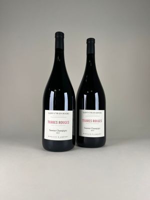 deux bouteilles de vin rouge posées sur une table