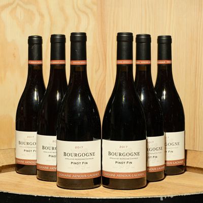 six bouteilles de vin rouge sont alignées sur un tonneau en bois