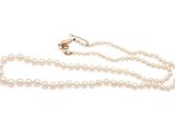 a white pearl necklace with a gold clasp