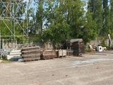 beaucoup d'arbres qui se trouvent au milieu de la rue