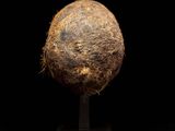 an image of a ball of dirt on a stand